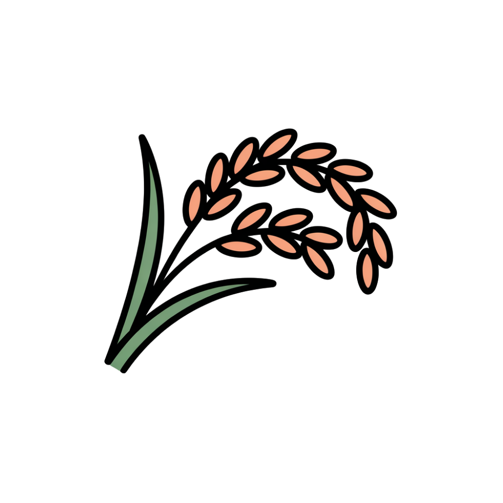 Illustration of a stalk of rice with green leaves on a white background